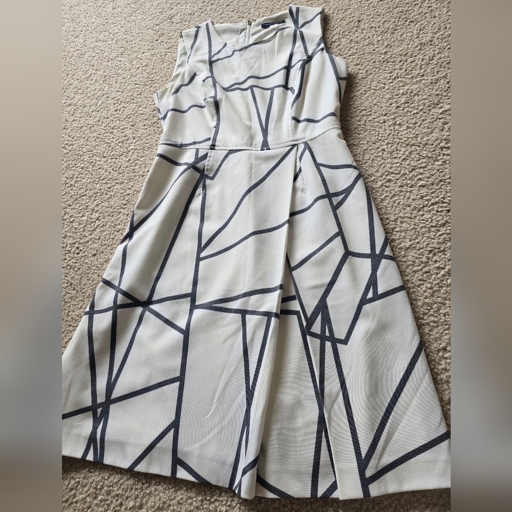 26. Tommy Hilfiger Size 4 Sleeveless Fit & Flare Sheath Dress